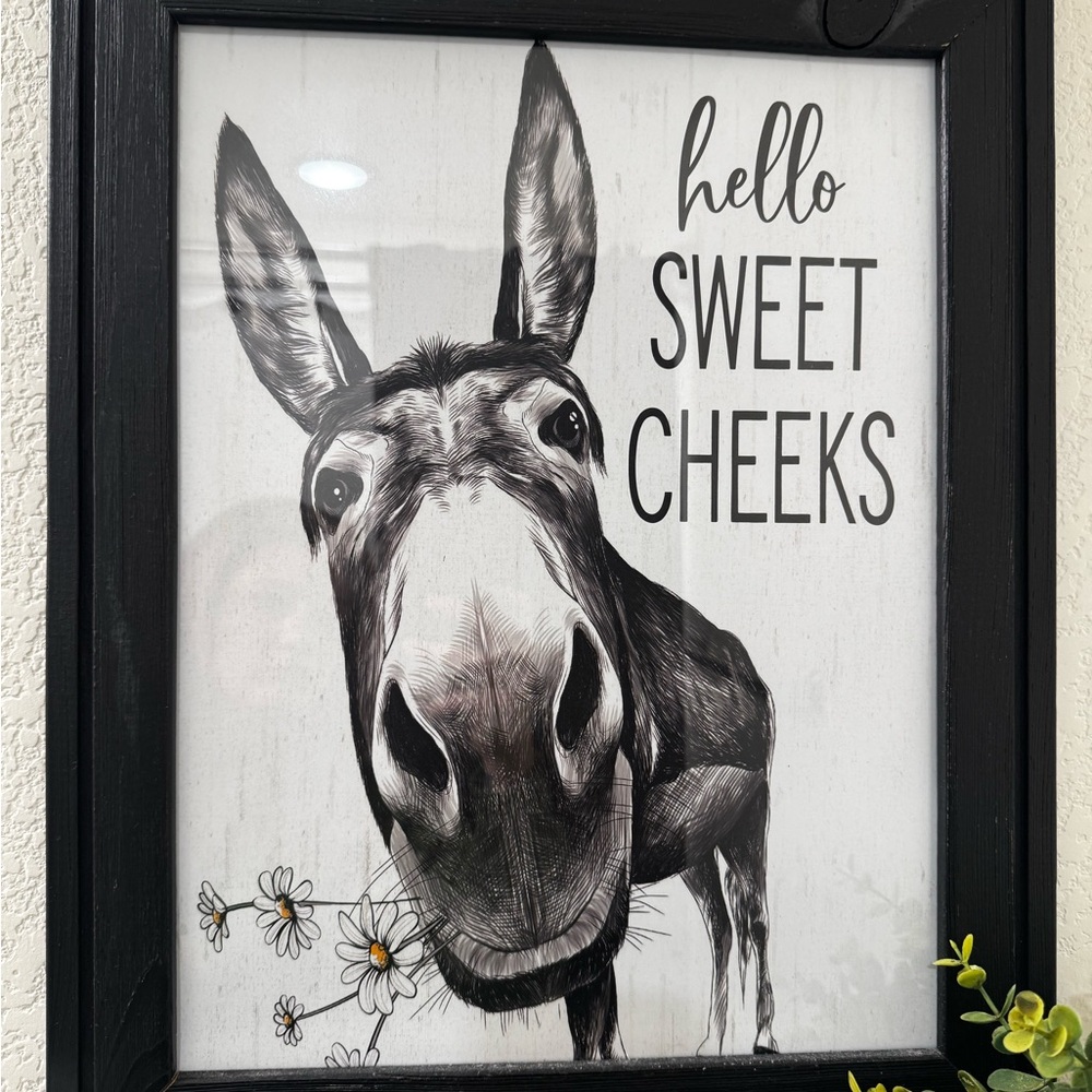 Hello Sweet Cheeks Black & White Donkey Wall Art